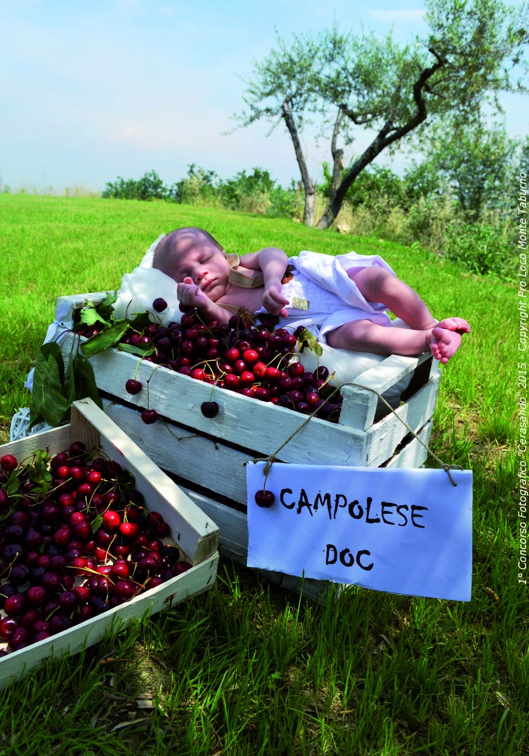 Campolese DOC