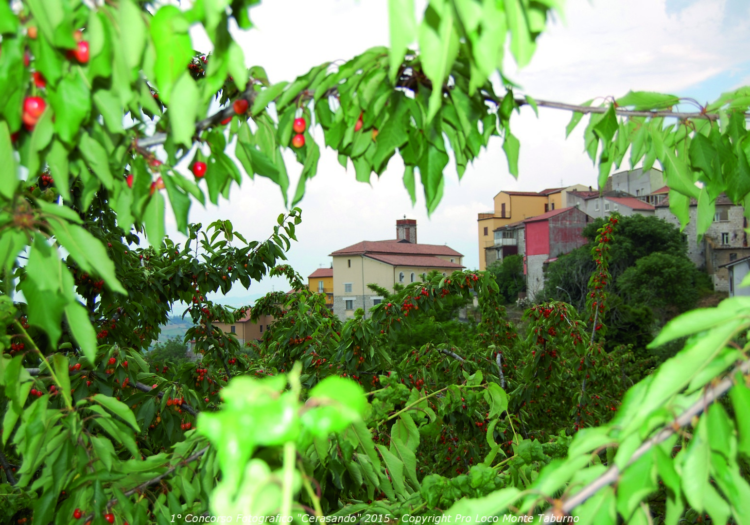 Campanile